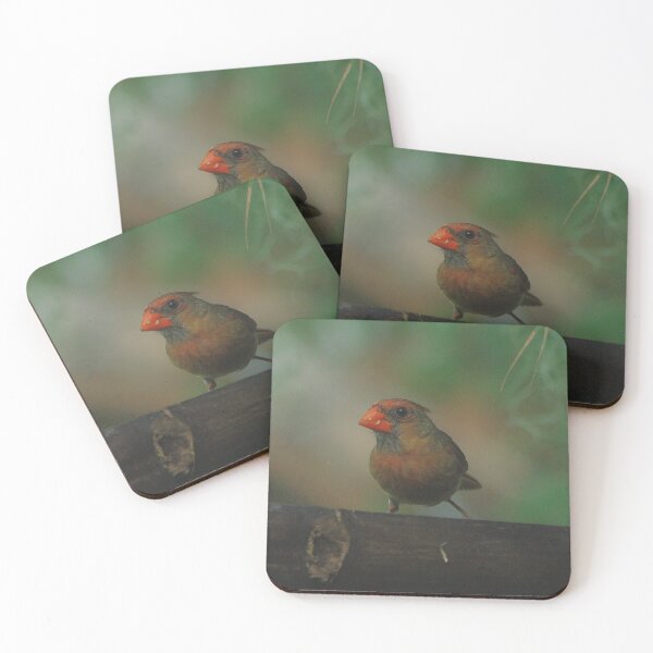 Item preview, Female Northern Cardinal designed and sold by Lee Young.