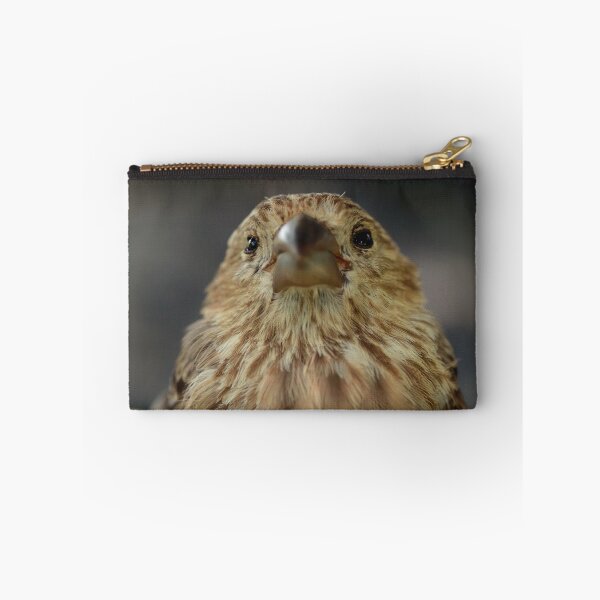 Item preview, Sweet House Finch designed and sold by StampCity.