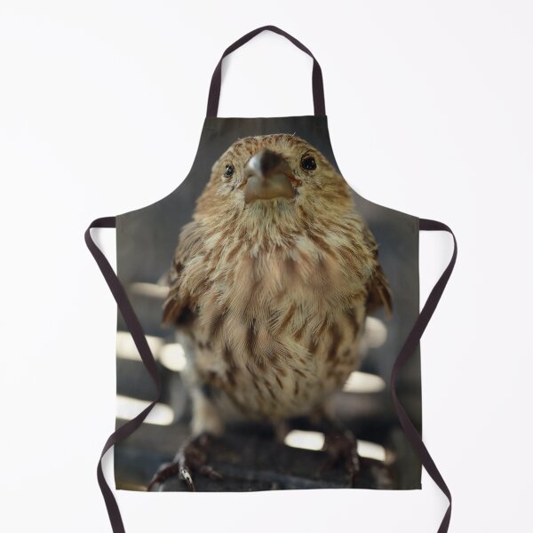 Item preview, Sweet House Finch designed and sold by StampCity.