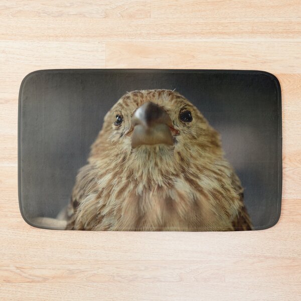 Item preview, Sweet House Finch designed and sold by StampCity.
