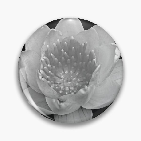 Item preview, Water Lily In Black And White designed and sold by Deb Oppermann.