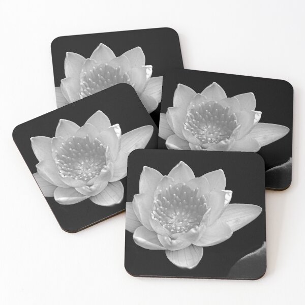 Item preview, Water Lily In Black And White designed and sold by Deb Oppermann.
