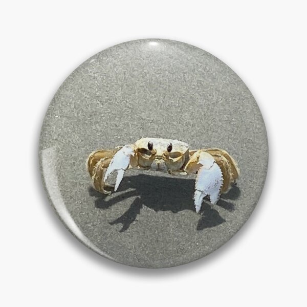 Item preview, Folly Beach Ghost Crab with Claws out  designed and sold by Delaneymaybe.