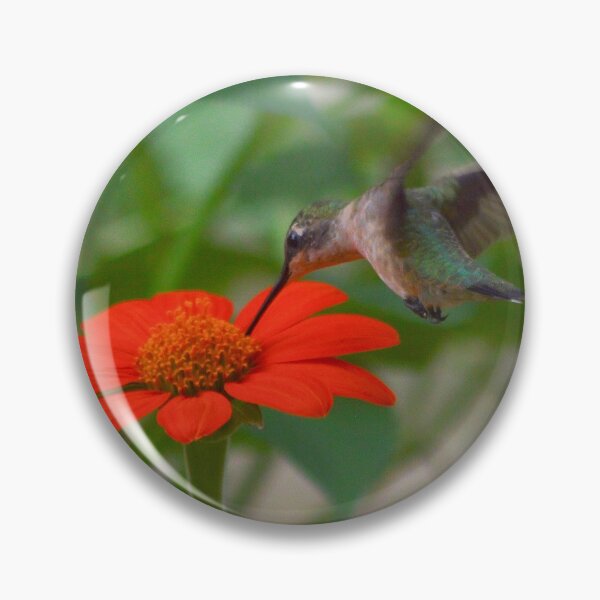 Item preview, Ruby Throated Hummingbird designed and sold by Lee Young.