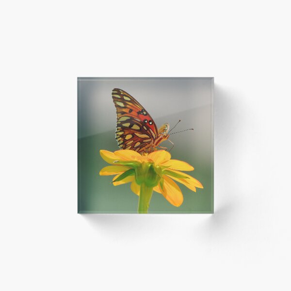 Item preview, Gulf Fritillary designed and sold by Lee Young.
