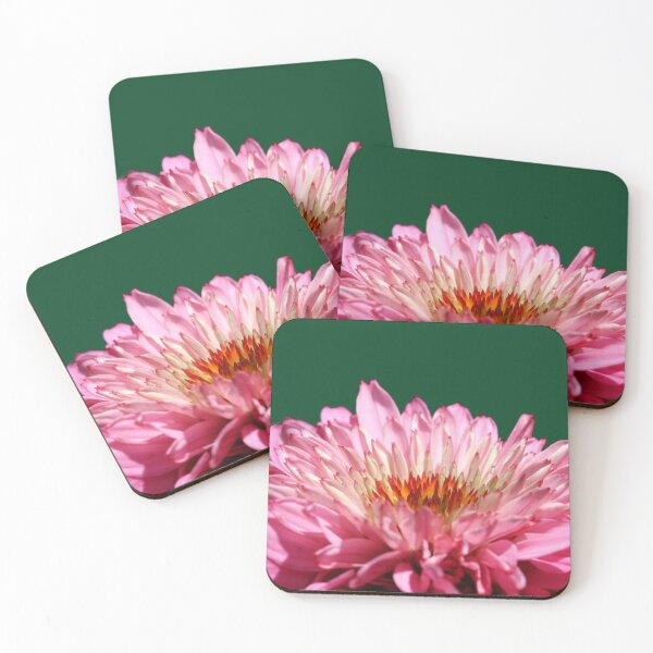 Item preview, Double coneflower closeup designed and sold by HappyThoughts85.