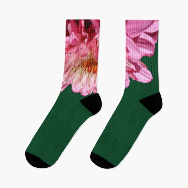 Item preview, Double coneflower closeup designed and sold by HappyThoughts85.