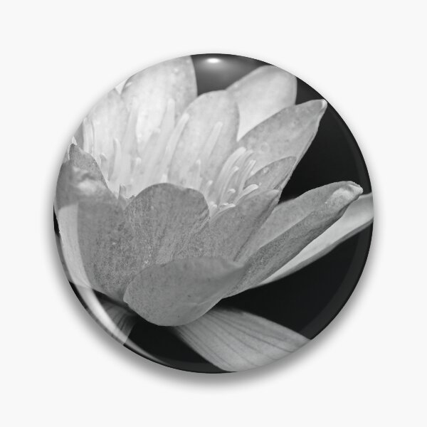 Item preview, Water Lily Black And White designed and sold by Deb Oppermann.