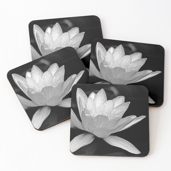 Item preview, Water Lily Black And White designed and sold by Deb Oppermann.