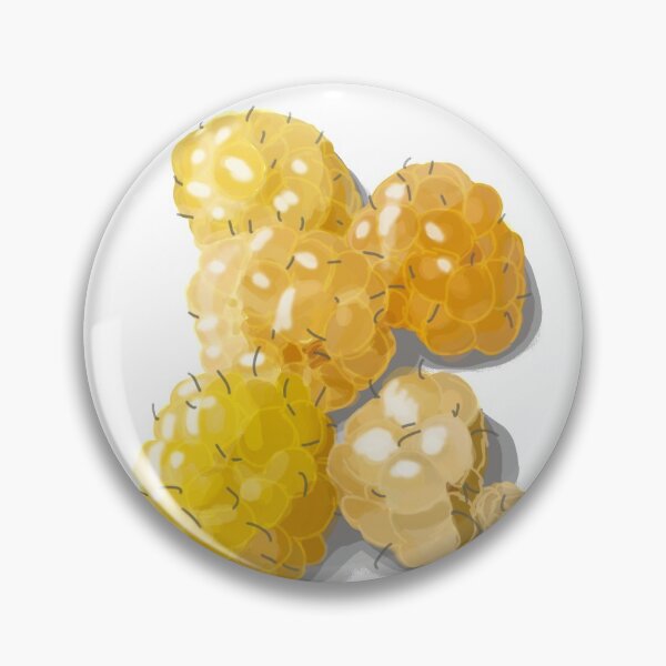 Item preview, Golden Raspberries designed and sold by Pourception.
