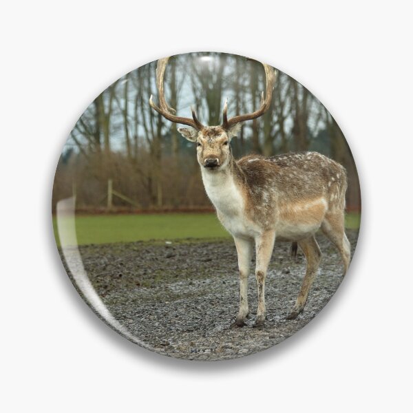 Item preview, Stag designed and sold by NKW1709.