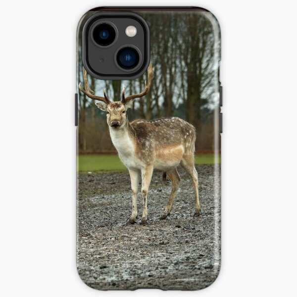 Stag iPhone Tough Case