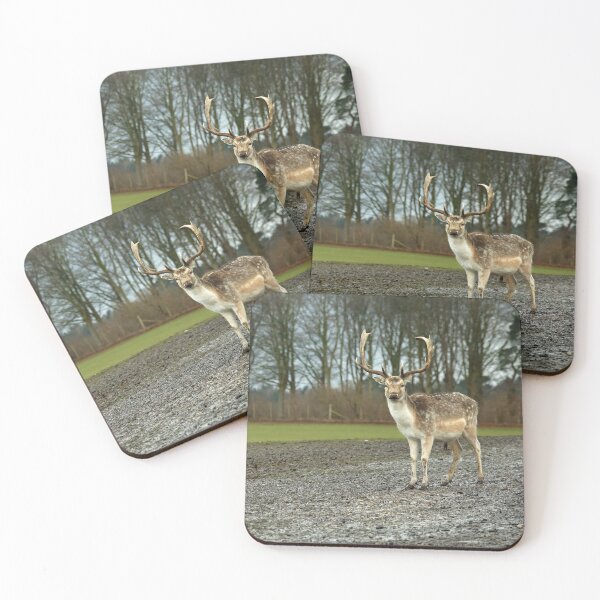 Item preview, Stag designed and sold by NKW1709.