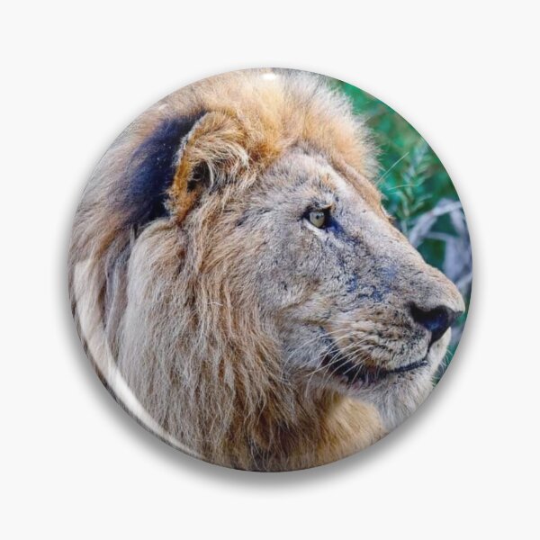Item preview, Lion by Jennifer Hadley designed and sold by DKEriksenArt.