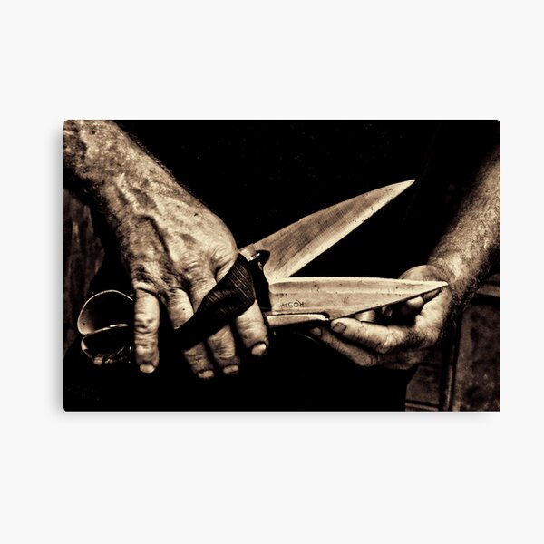 ROSA BLADES Canvas Print
