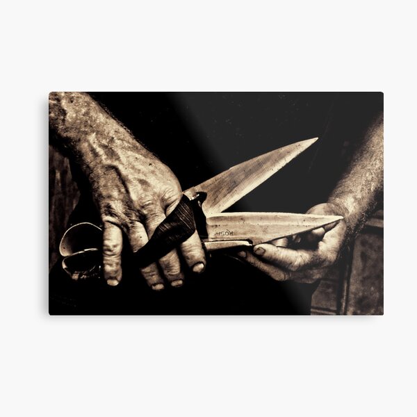 ROSA BLADES Metal Print