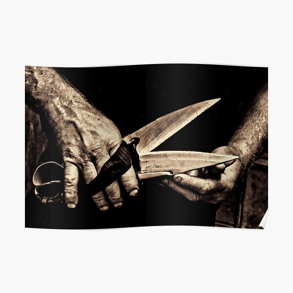 ROSA BLADES Poster