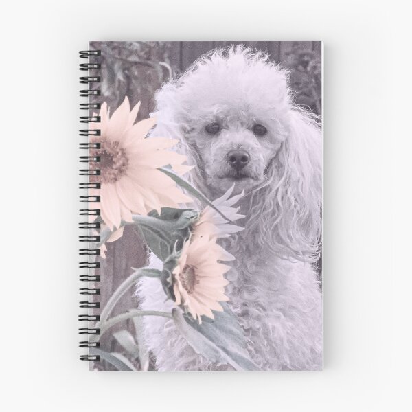 Item preview, Poodle in Sunflowers designed and sold by ritmoboxers.