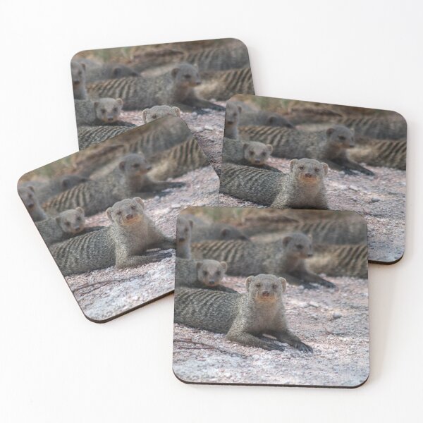 Item preview, Banded mongoose in Namibia designed and sold by HazelWright.