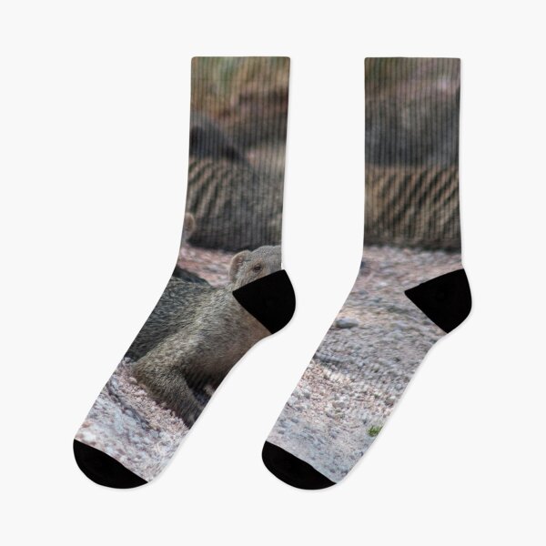 Item preview, Banded mongoose in Namibia designed and sold by HazelWright.