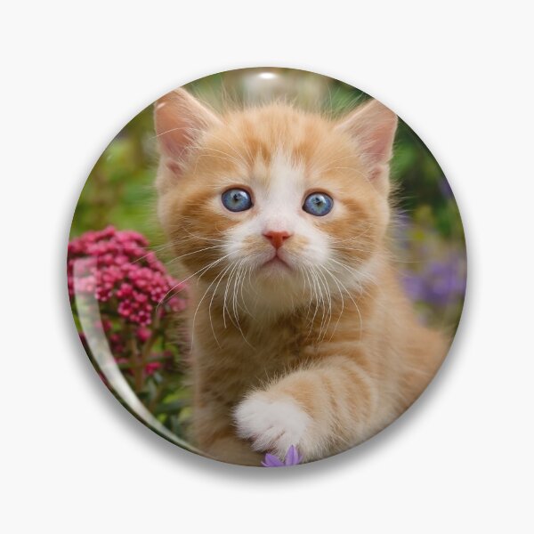 Item preview, Cute Ginger Cat Kitten in a Garden Photo Portrait designed and sold by Katho Menden.
