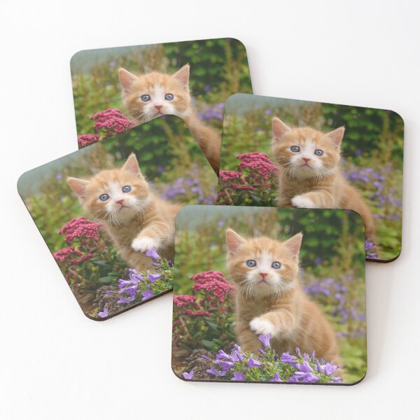Item preview, Cute Ginger Cat Kitten in a Garden Photo Portrait designed and sold by Katho Menden.