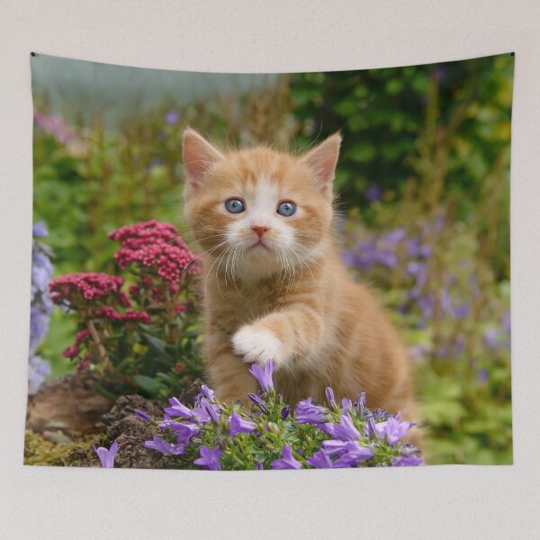 Item preview, Cute Ginger Cat Kitten in a Garden Photo Portrait designed and sold by Katho Menden.