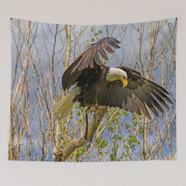 Item preview, Touchdown designed and sold by alanathrower.
