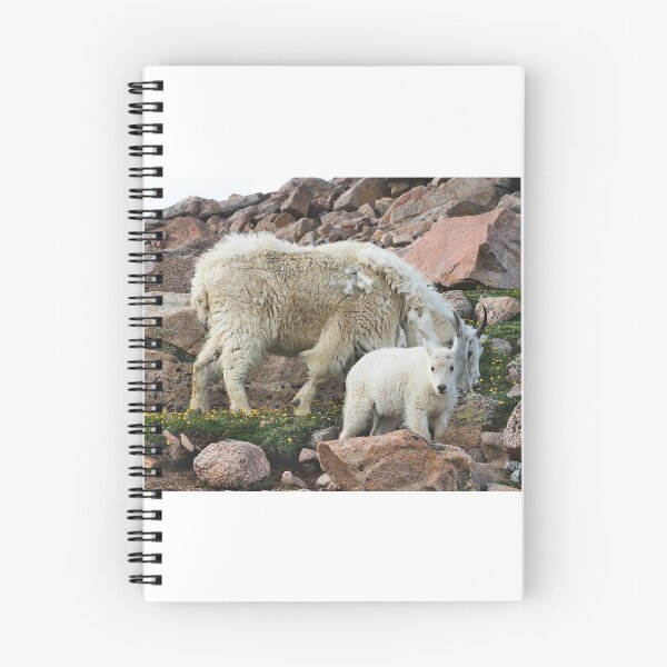 Item preview, Mountain Goats designed and sold by DFMY.