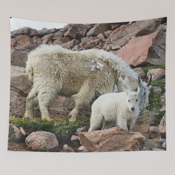 Item preview, Mountain Goats designed and sold by DFMY.