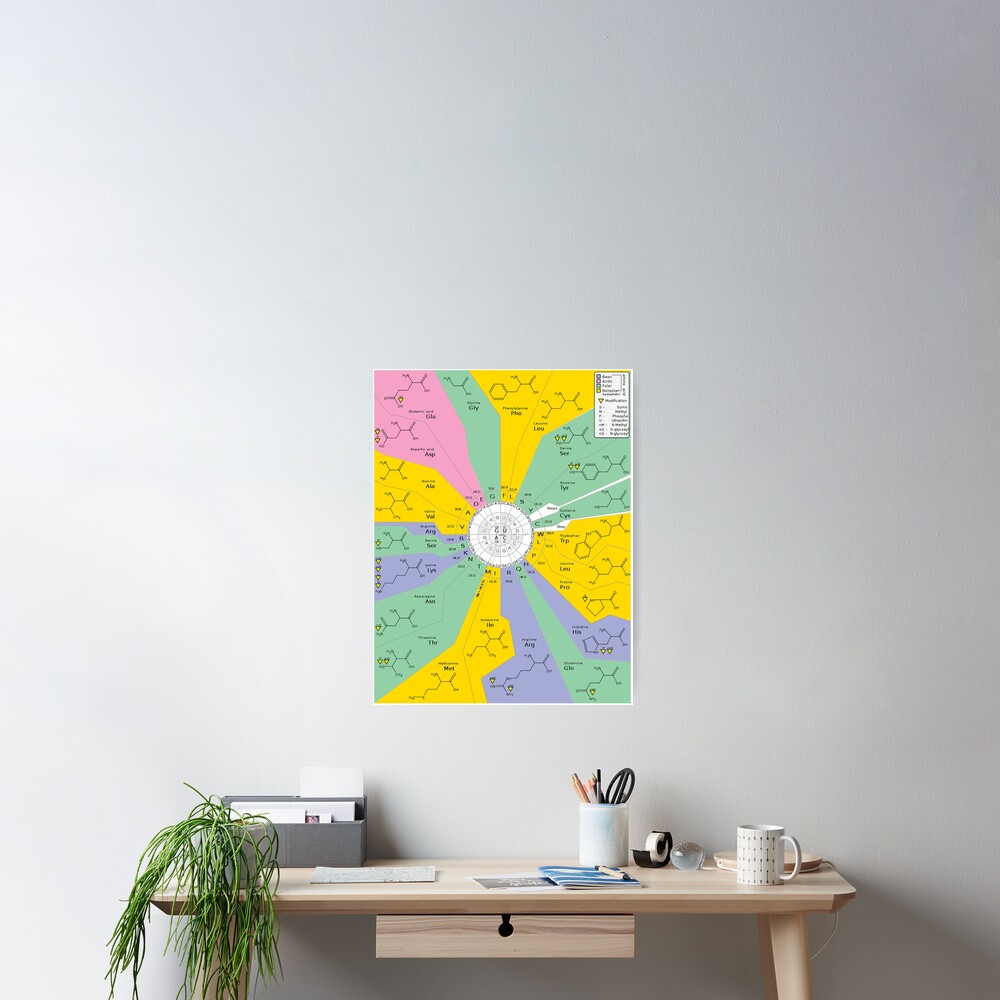 The Genetic Code Poster
