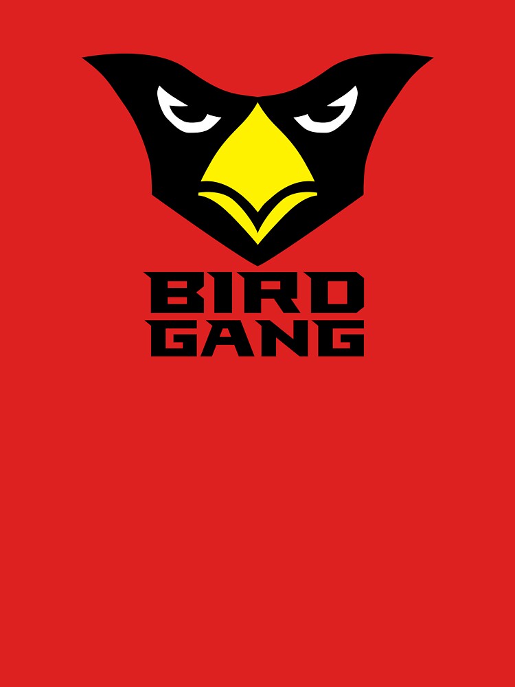 Arizona Cardinals For All The Bird Gang shirt, hoodie, longsleeve,  sweatshirt, v-neck tee