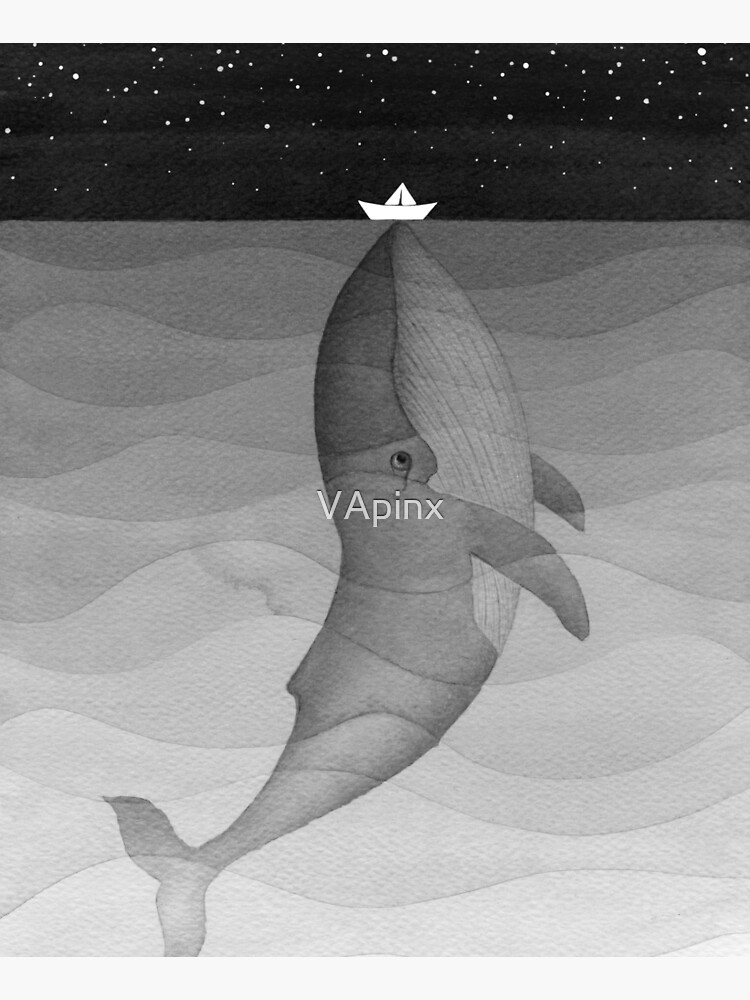 Whale, black & white by VApinx