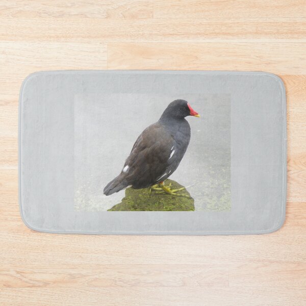 Item preview, Moorhen in Shallow Water Photograph designed and sold by naturegallery.
