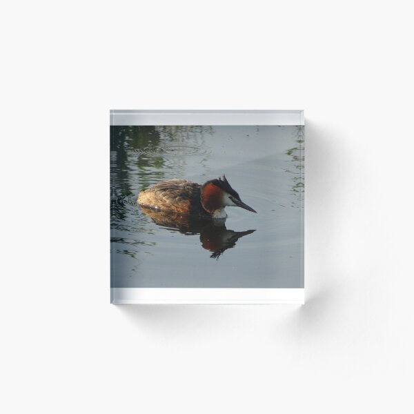 mandarin Acrylic Block