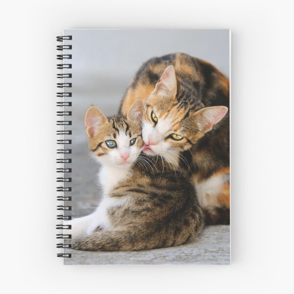 Item preview, Mother Cat Loves Cute Kitten designed and sold by Katho Menden.