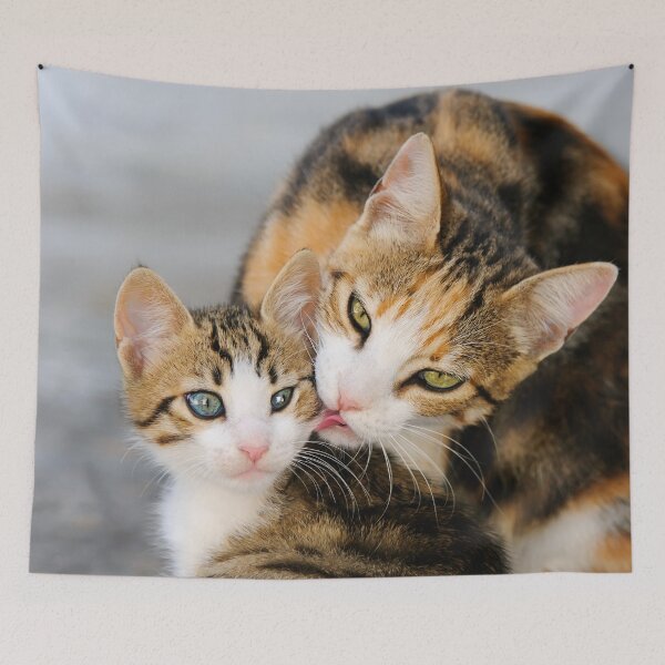 Item preview, Mother Cat Loves Cute Kitten designed and sold by Katho Menden.