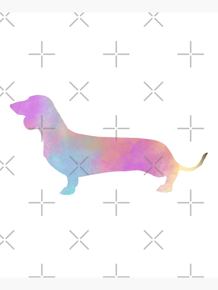 Watercolor Dachshund by tribbledesign