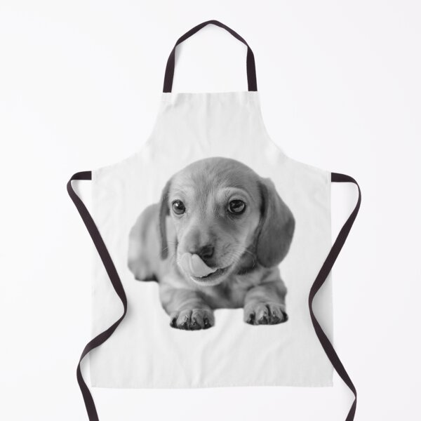 Item preview, Little Cute Dachshund Puppy designed and sold by tribbledesign.