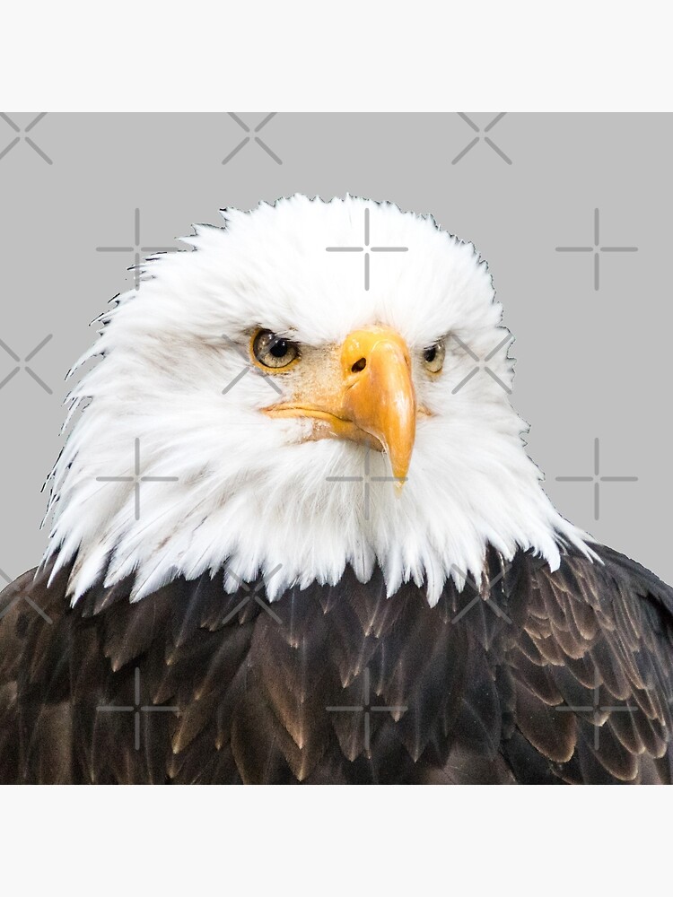 Thumbnail 2 von 2, Stofftasche, Weißkopfseeadler designt und verkauft von Igelchen.