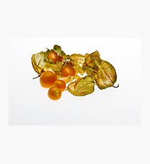 Gooseberries Photographic Print