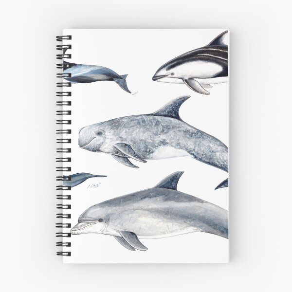 Item preview, Pacific dolphins  designed and sold by chloeyzoard.