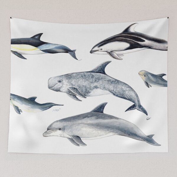 Item preview, Pacific dolphins  designed and sold by chloeyzoard.
