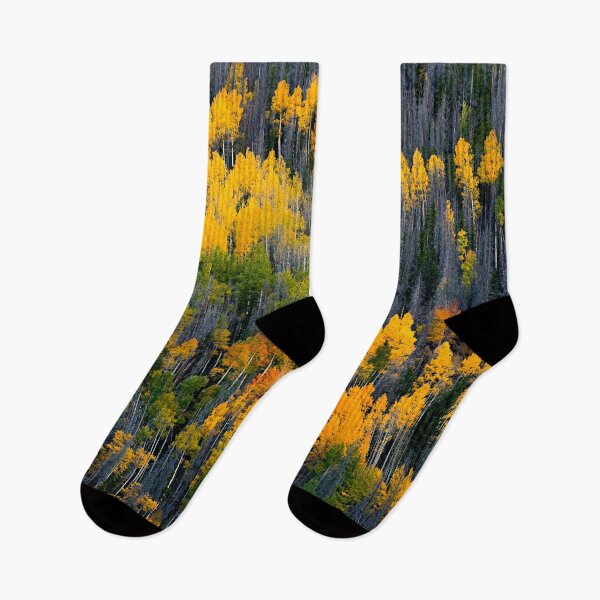 Item preview, Aspens in the Fall designed and sold by DFMY.