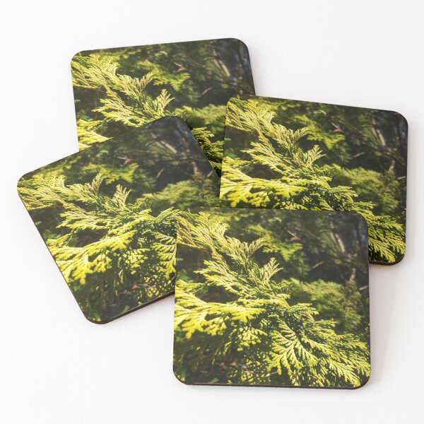 Item preview, Cedar Maze, Closeup Texture, Beauty of Nature by Courtney Hatcher designed and sold by cghatcherart.