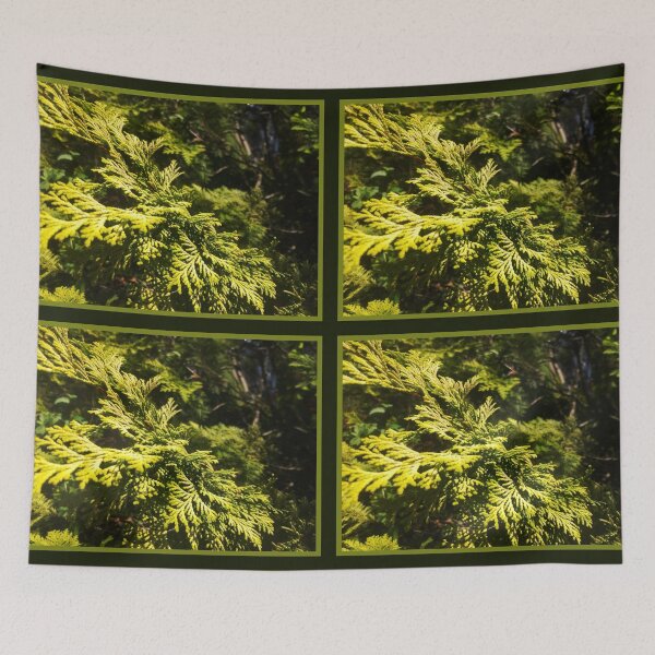 Item preview, Cedar Maze, Closeup Texture, Beauty of Nature by Courtney Hatcher designed and sold by cghatcherart.