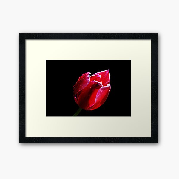 Flamer! Framed Art Print