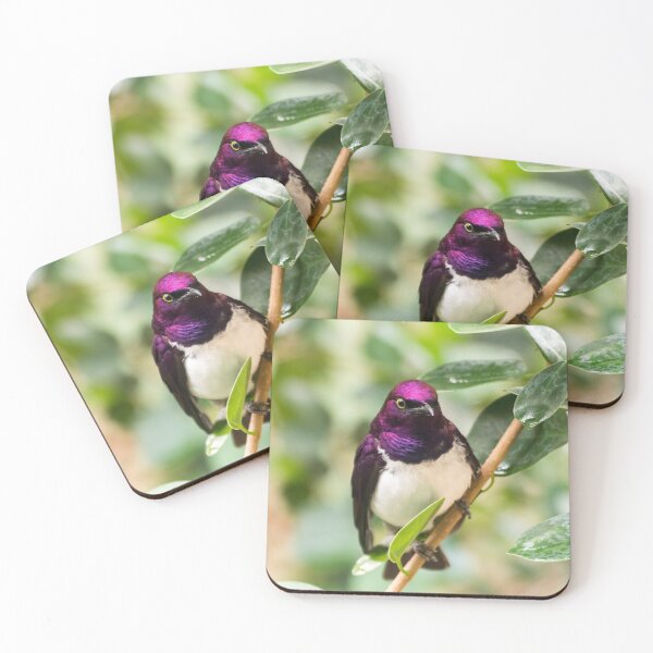 Item preview, Violet-backed sterling designed and sold by Salamanderland.