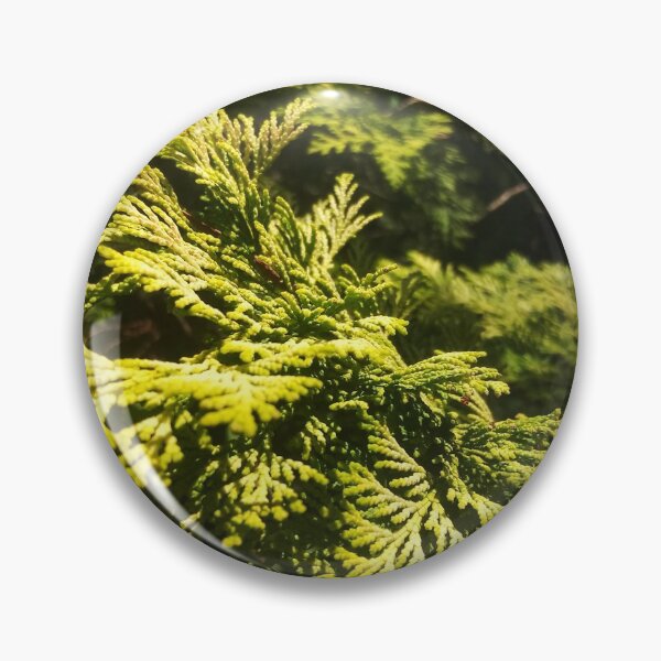 Item preview, Cedar Maze, Closeup Texture, Beauty of Nature by Courtney Hatcher designed and sold by cghatcherart.