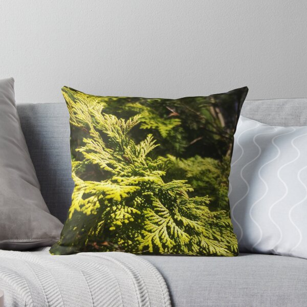 Item preview, Cedar Maze, Closeup Texture, Beauty of Nature by Courtney Hatcher designed and sold by cghatcherart.